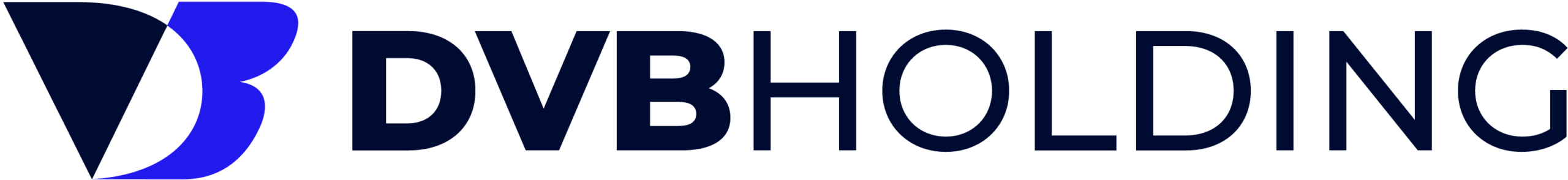 DVB Logo (1)